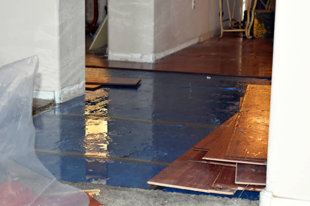 Professional Burst Pipe Water Damage technician working in Clarendon Hills, IL